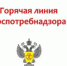 Роспотребнадзор запускает «горячую линию» по вопросам качества и безопасности детских товаров и выбору новогодних подарков - Пильнинский муниципальный округ