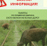 Памятка по выпасу крупного рогатого скота вблизи железнодорожных путей и правила его прогона - Пильнинский муниципальный округ