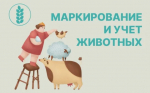 Управление Россельхознадзора по Нижегородской области и республикам Марий Эл и Мордовия информирует порядок действий граждан для осуществления учета животных